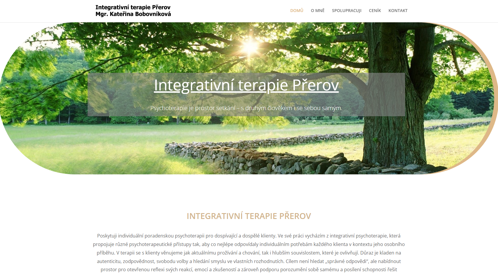 Tvorba webových stránek | WDS-DOHNAL Tvorba webových stránek | WDS-DOHNAL